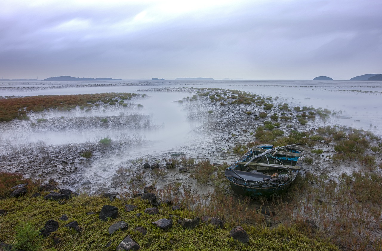 The Importance of Protecting Wetlands